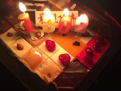 -维尔纳斯·生日蛋糕动物奶油冰淇淋蛋糕(人大店)