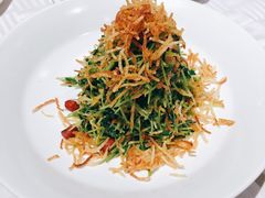 巧拌豆苗-四季民福烤鸭店(王府井灯市口店)
