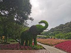 -广州市石门国家森林公园