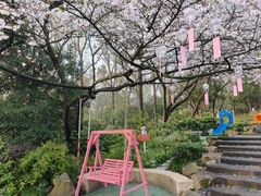-杭州少年儿童公园