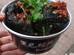 -黑色经典臭豆腐·湖南特产(潇湘文化店)