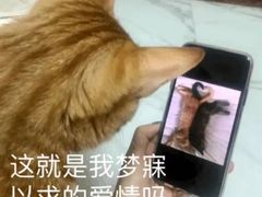 -官塘陈记鱼生·潮汕砂锅粥·牛肉火锅(潮枫路总店)