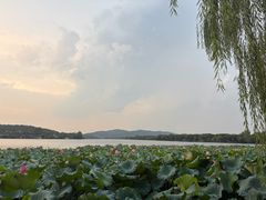 -浙江西子宾馆·瑶园咖啡厅