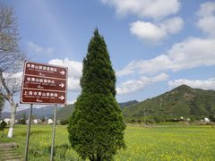 -灵山景区梯田