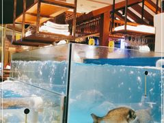 水产区-yokocho上横町·日本食街(深业上城店)