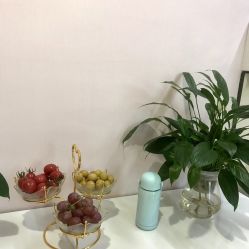 -天使医生VIP孕期孕检产检(市二医院店)