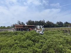 -北海金海湾红树林生态旅游区