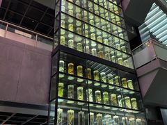-广东中医药博物馆