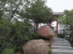 -六里坪国家森林公园