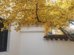 -无锡梅园公园