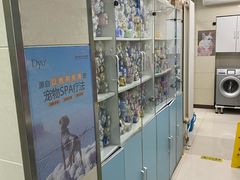 -北京观赏动物医院·24小时大型综合·猫专科·异宠专科