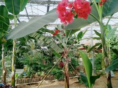 -兰陵国家农业公园