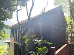-三亚亚龙湾人间天堂鸟巢度假村