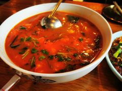 -柴窝堡22号辣子鸡·传承新疆菜