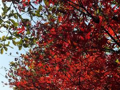 -杭州半山国家森林公园