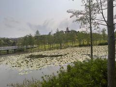 -东莞植物园