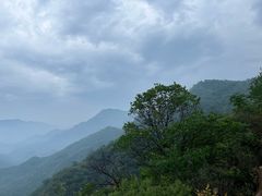 -大岭沟猕猴桃谷风景区