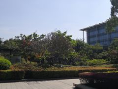 -中国移动南方基地