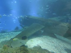 -福州罗源湾海洋世界旅游区