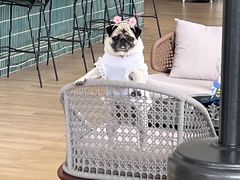 -华凌山庄·隐湖栖