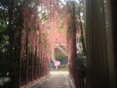 -宁波杭州湾海底温泉