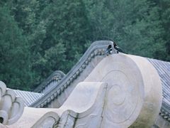-颐和园