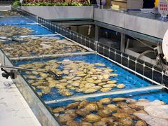 -川骄海鲜自助(河东店)