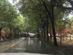 -安飞驰驾校·学车连锁(金高店)