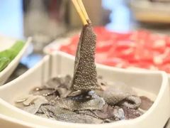 脆毛肚-海底捞火锅(奥体南路店)