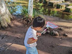 -重庆彩云湖湿地公园