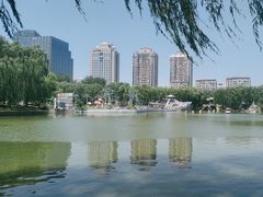-团结湖公园