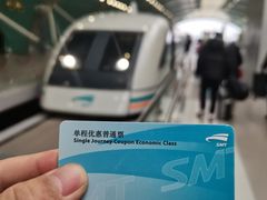 -龙阳路磁悬浮列车总站-停车场