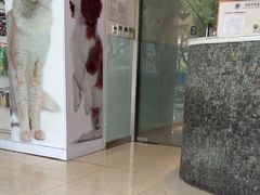 -瑞派申生动物医院·24H夜诊·国际动物医疗中心·骨外科(吴中路店)