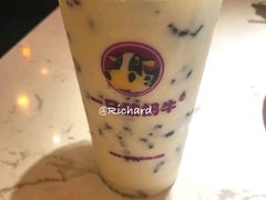 -一只酸奶牛(海南友谊阳光城店)
