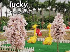 -盈香心动乐园