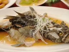 -同庆楼(滨湖万达广场店)