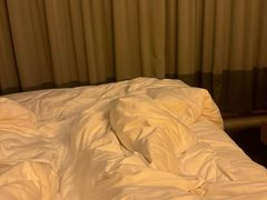 -香港港岛英迪格酒店