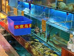 -聪辉同安老美食饭店(大元路店)