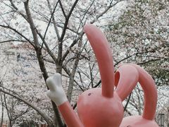-高东镇樱花园