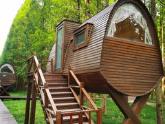 -黄海国家森林公园