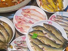 -石锅苗苗鱼(武汉首店)