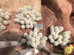 -南通洲际绿博园