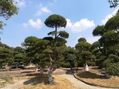 -武汉紫薇都市田园