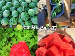 -樂桃源奉贤黄桃种植采摘基地