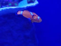 -福州罗源湾海洋世界旅游区