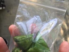 -亚龙湾海底世界