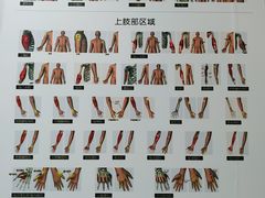 -通透堂中医·精准推拿(旗舰店)