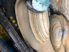 -盒马鲜生(曜一城店)