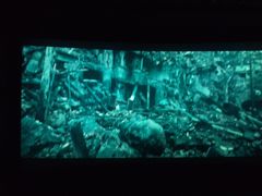 -幸福蓝海国际影城(苏州凤凰店)