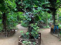-呀路古热带植物园